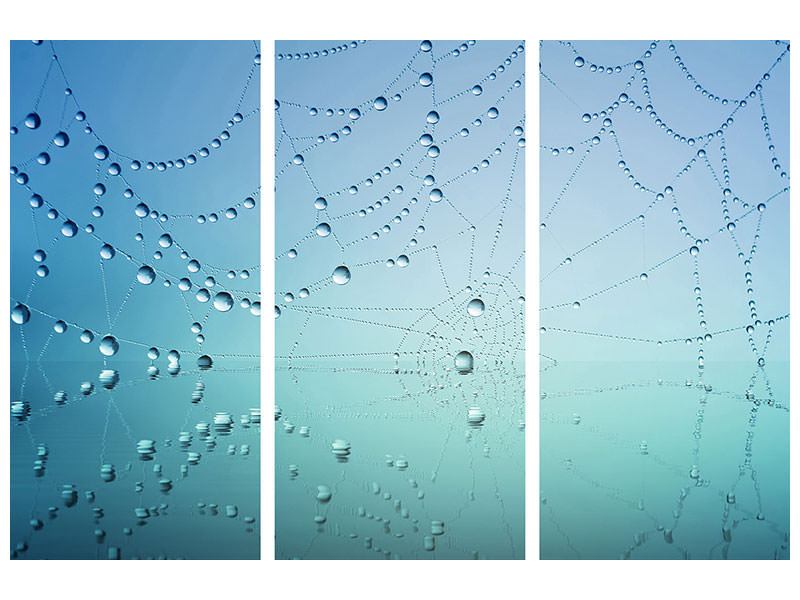 3-piece-canvas-print-cobweb-in-morning-dew