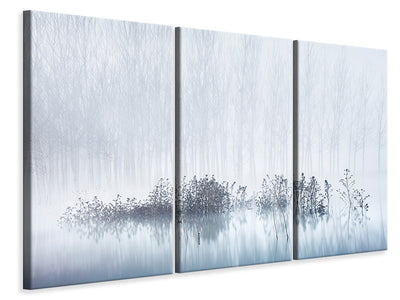 3-piece-canvas-print-cold-and-foggy-morning-in-the-swamp