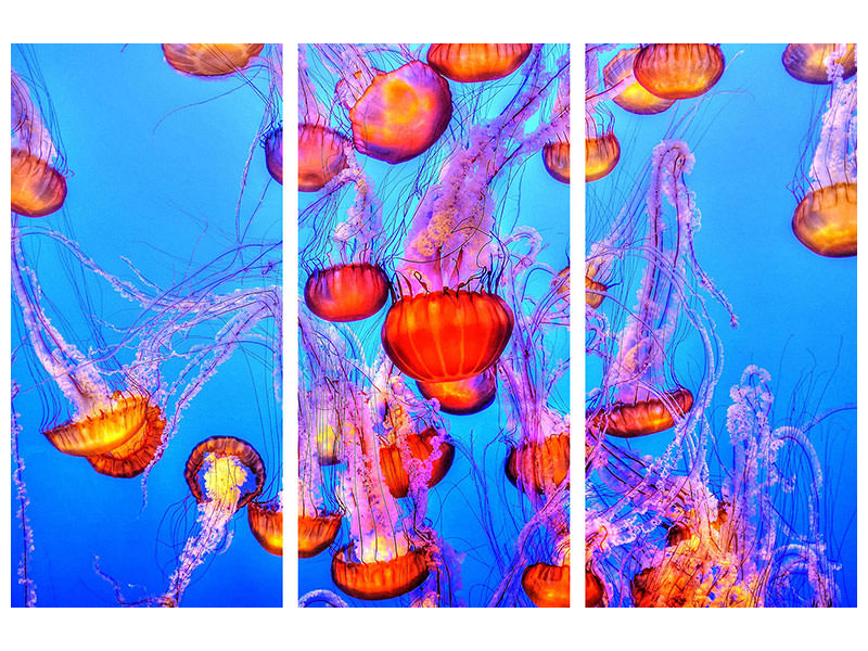 3-piece-canvas-print-colorful-jellyfish