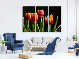 3-piece-canvas-print-colorful-tulips