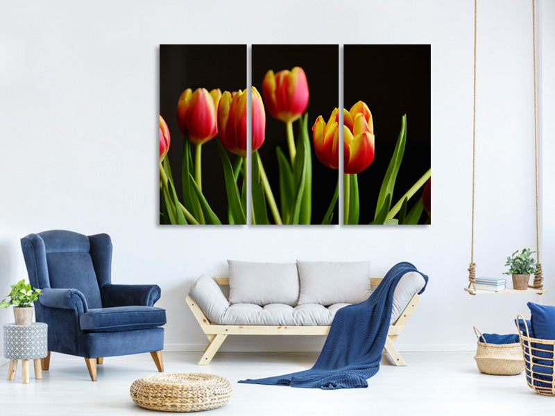 3-piece-canvas-print-colorful-tulips