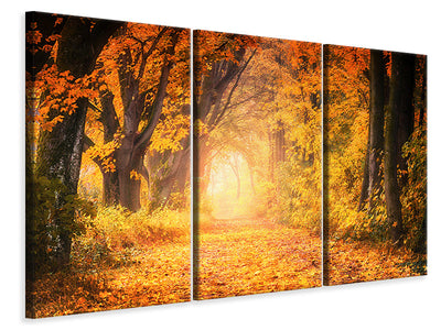 3-piece-canvas-print-colors-magnificent-forest