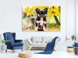 3-piece-canvas-print-cute-chihuahua-puppy