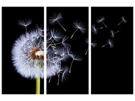 3-piece-canvas-print-dandelion-blowing