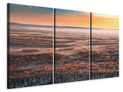 3-piece-canvas-print-dawn