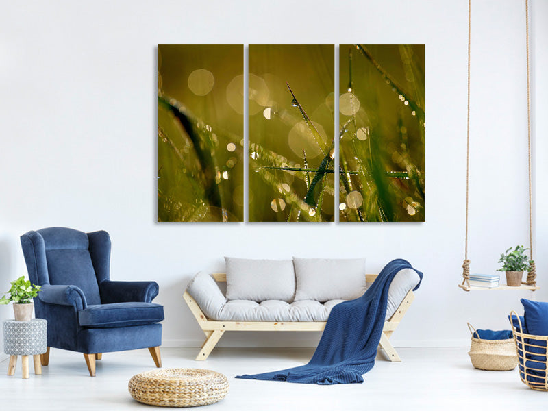 3-piece-canvas-print-dew-in-the-morning