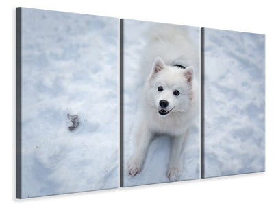 3-piece-canvas-print-dogs-joy-in-the-snow