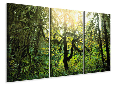 3-piece-canvas-print-dreamy-forest