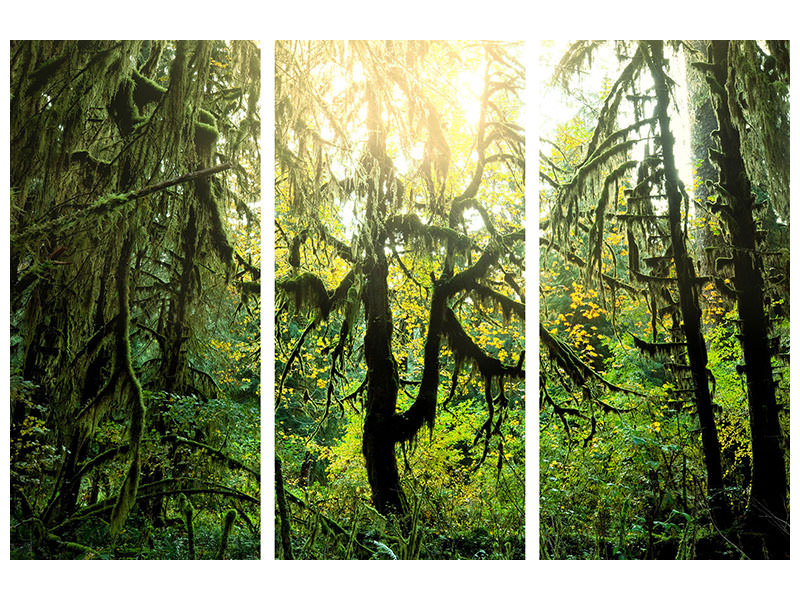 3-piece-canvas-print-dreamy-forest