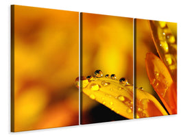 3-piece-canvas-print-drops-close-up