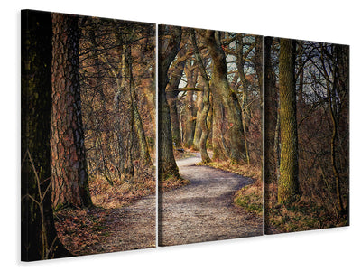 3-piece-canvas-print-enchanted-forest