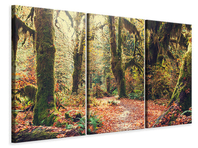 3-piece-canvas-print-fairies-forest