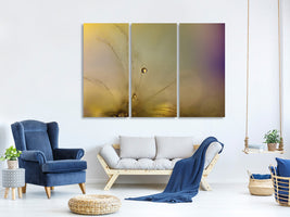 3-piece-canvas-print-feeling-of-a-new-day