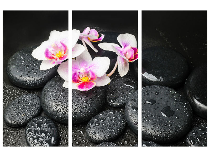 3-piece-canvas-print-feng-shui-orchid-zen