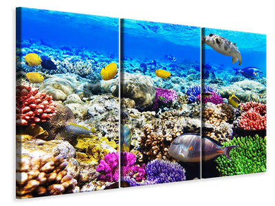 3-piece-canvas-print-fish-aquarium