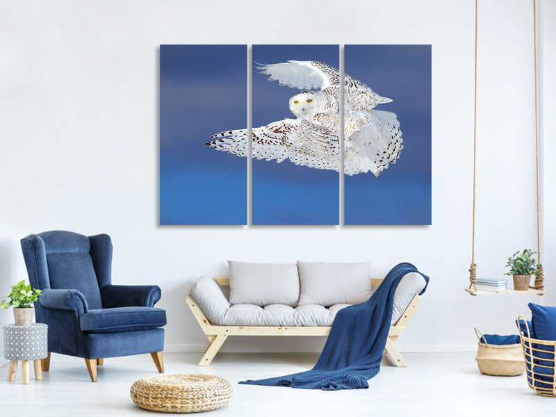 3-piece-canvas-print-flight-of-the-snowy-snowy-owl