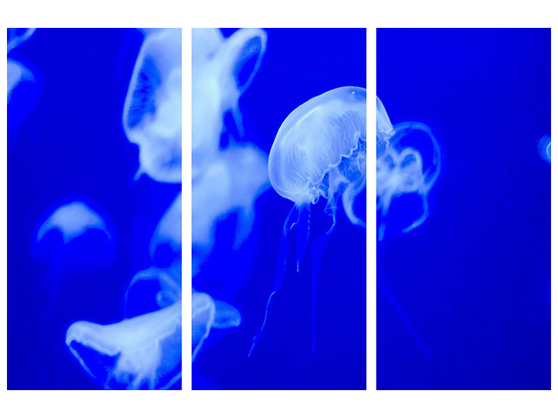 3-piece-canvas-print-floating-jellyfish