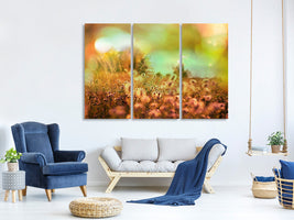 3-piece-canvas-print-flower-meadow-at-twilight