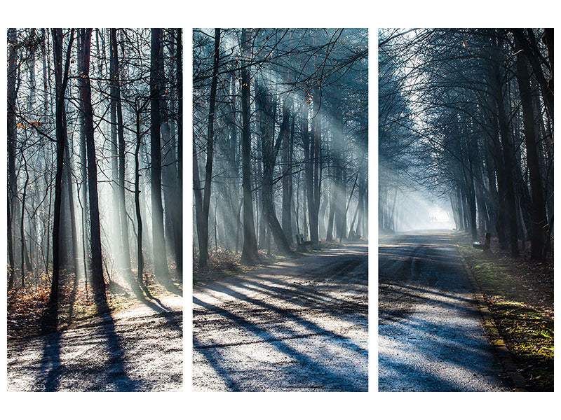 3-piece-canvas-print-forest-in-the-light-beam