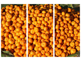 3-piece-canvas-print-fresh-mandarins