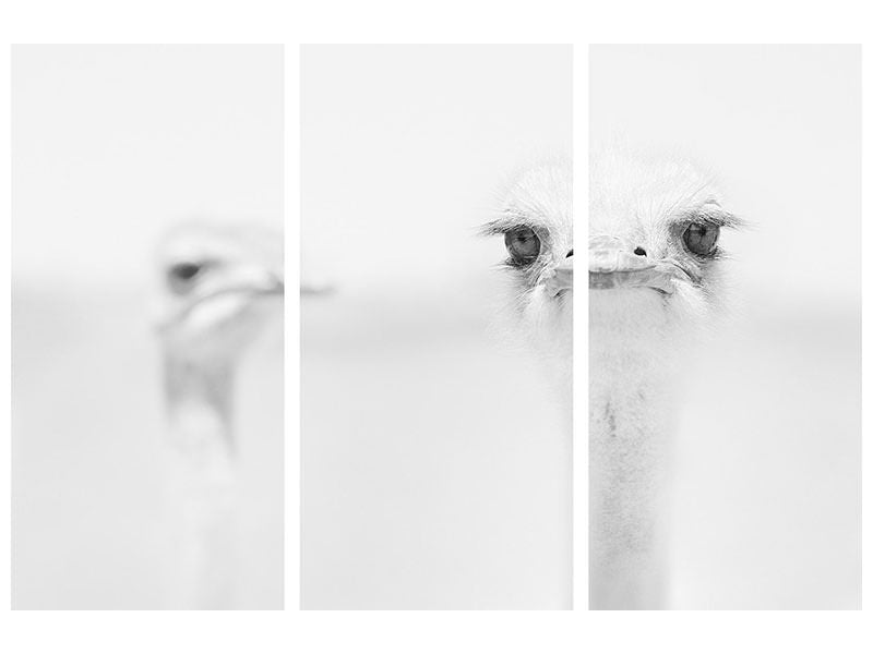 3-piece-canvas-print-funny-ostrich