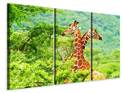 3-piece-canvas-print-giraffes-love