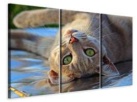 3-piece-canvas-print-green-eye