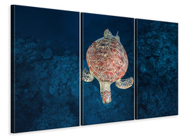 3-piece-canvas-print-green-turtle-on-blue-water