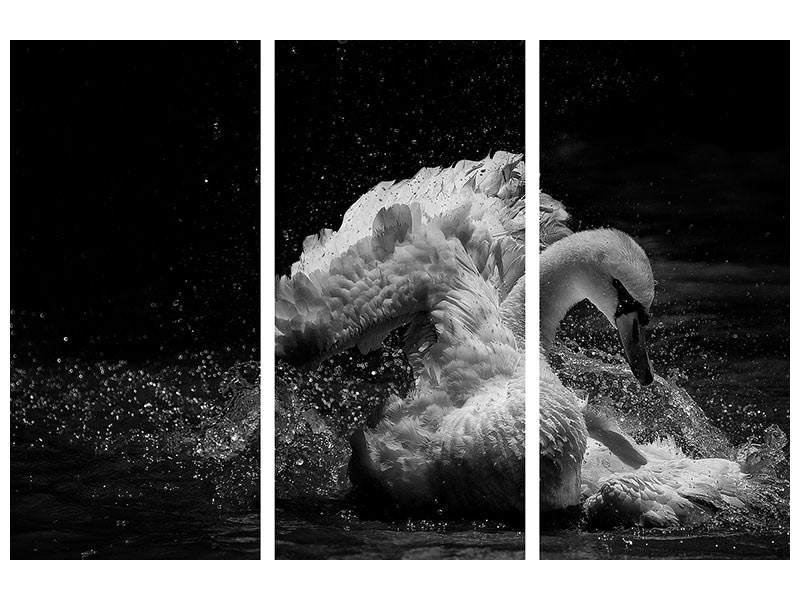 3-piece-canvas-print-in-motion