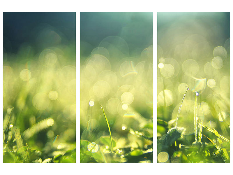 3-piece-canvas-print-in-the-meadow