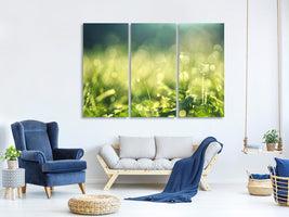 3-piece-canvas-print-in-the-meadow