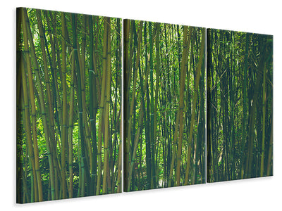 3-piece-canvas-print-in-the-middle-of-the-bamboo