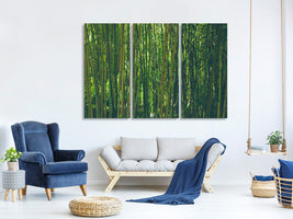 3-piece-canvas-print-in-the-middle-of-the-bamboo