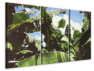 3-piece-canvas-print-in-the-middle-of-the-jungle
