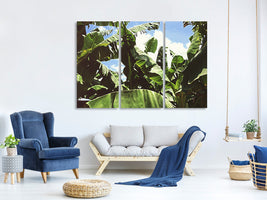 3-piece-canvas-print-in-the-middle-of-the-jungle