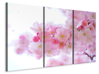 3-piece-canvas-print-japanese-cherry-blossom-xl