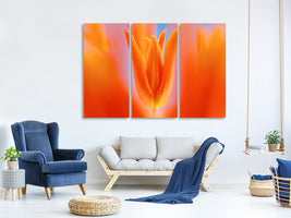 3-piece-canvas-print-kensaki-tulip