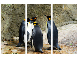 3-piece-canvas-print-king-penguins