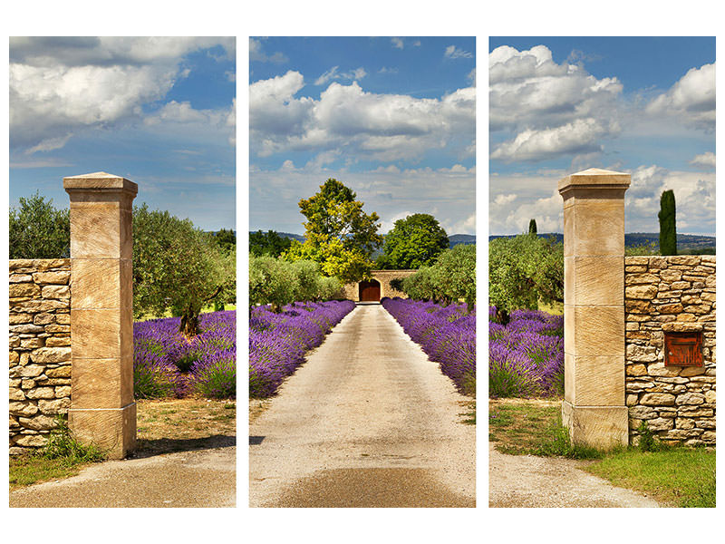 3-piece-canvas-print-lavender-garden