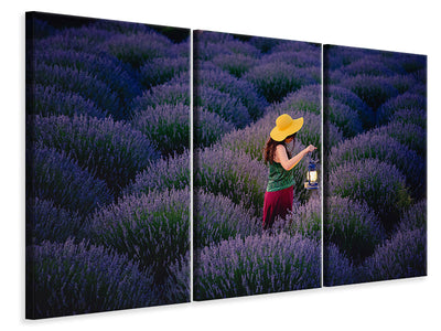 3-piece-canvas-print-lavender