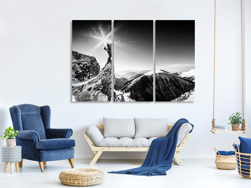 3-piece-canvas-print-life-at-the-top