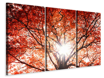 3-piece-canvas-print-light-of-autumn