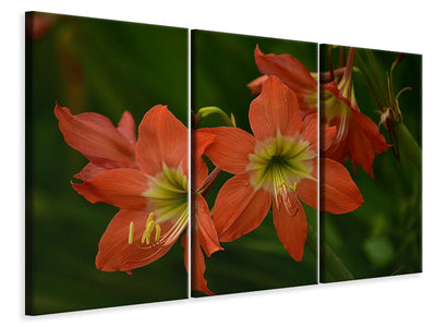 3-piece-canvas-print-lilies-in-orange