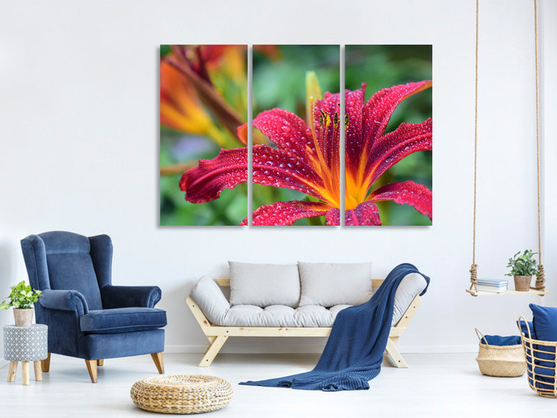 3-piece-canvas-print-lily-flower-in-pink-xl