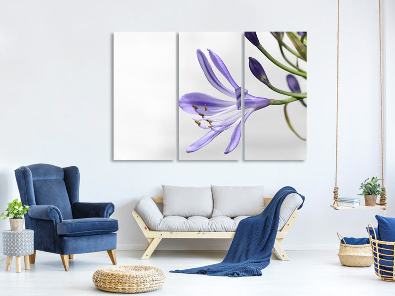 3-piece-canvas-print-lily-flower-in-purple
