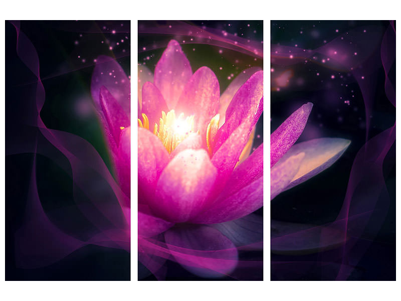 3-piece-canvas-print-lily-in-the-light-play