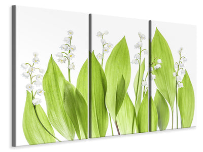 3-piece-canvas-print-lily-of-the-valley