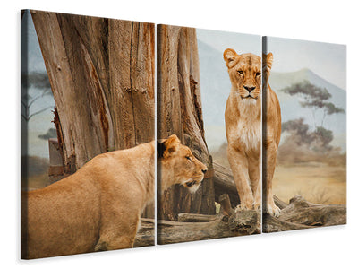 3-piece-canvas-print-lions-in-africa