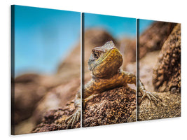 3-piece-canvas-print-little-alligator