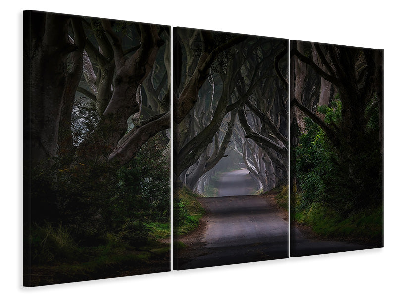 3-piece-canvas-print-magic-road